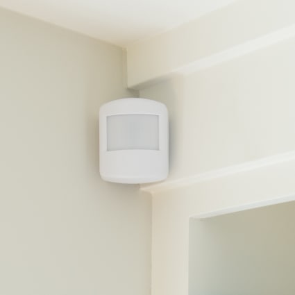 St. Louis motion sensor